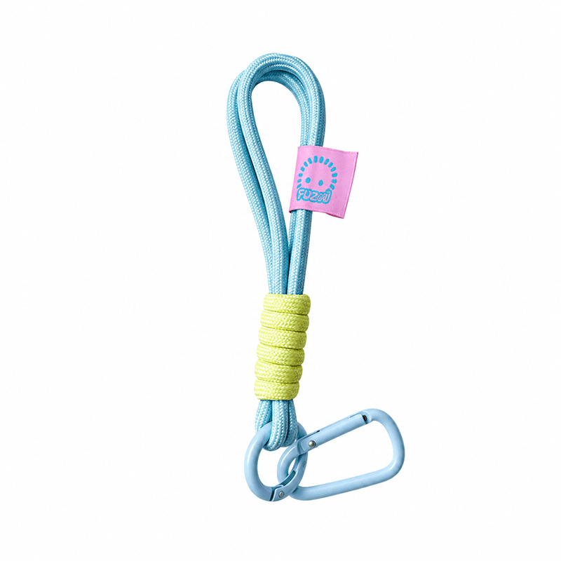Lanyard