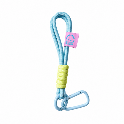 Lanyard
